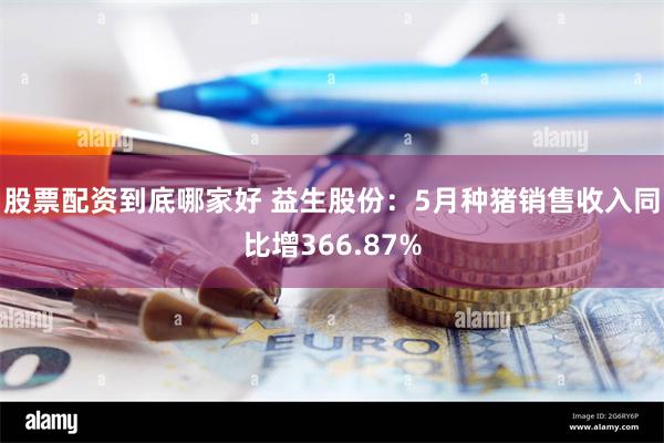 股票配资到底哪家好 益生股份：5月种猪销售收入同比增366.87%