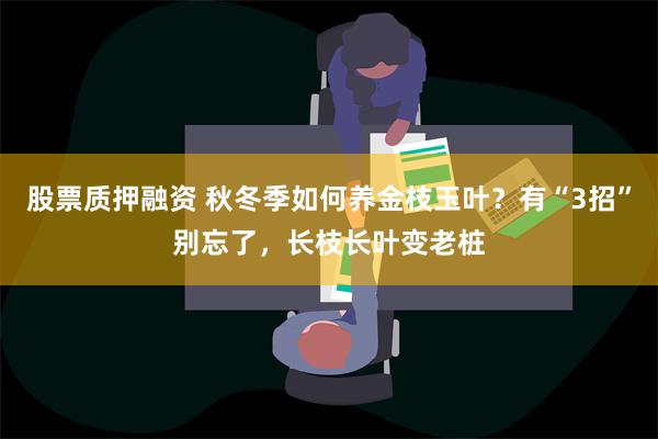 股票质押融资 秋冬季如何养金枝玉叶？有“3招”别忘了，长枝长叶变老桩