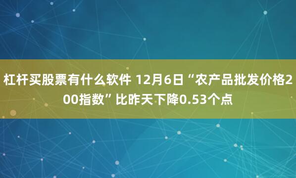 杠杆买股票有什么软件 12月6日“农产品批发价格200指数”比昨天下降0.53个点