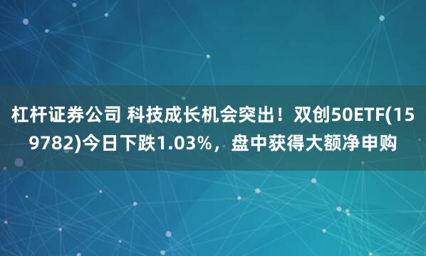 杠杆证券公司 科技成长机会突出！双创50ETF(159782)今日下跌1.03%，盘中获得大额净申购