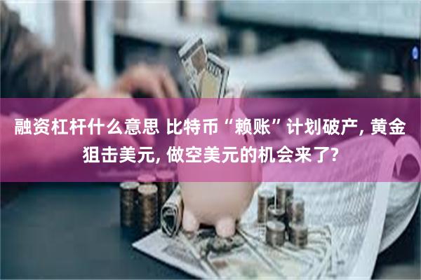 融资杠杆什么意思 比特币“赖账”计划破产, 黄金狙击美元, 做空美元的机会来了?