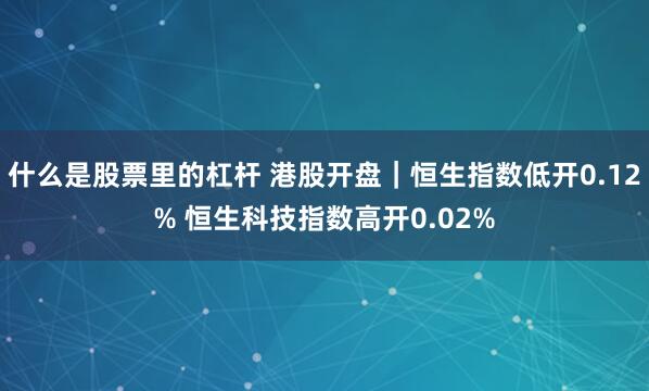 什么是股票里的杠杆 港股开盘｜恒生指数低开0.12% 恒生科技指数高开0.02%