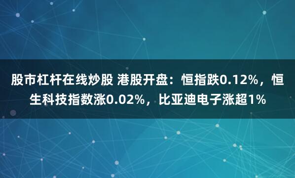 股市杠杆在线炒股 港股开盘：恒指跌0.12%，恒生科技指数涨0.02%，比亚迪电子涨超1%