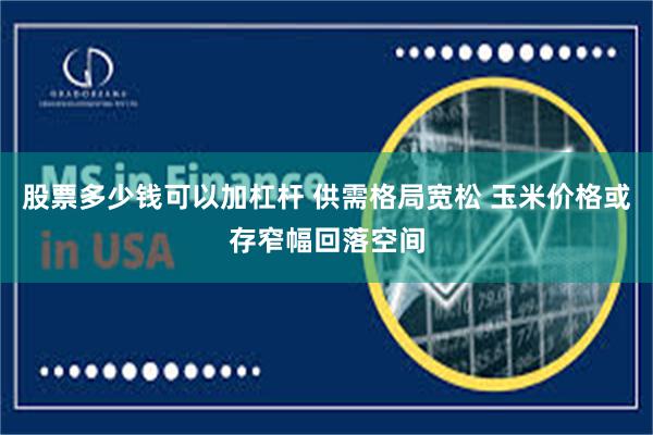 股票多少钱可以加杠杆 供需格局宽松 玉米价格或存窄幅回落空间