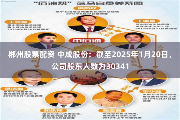 郴州股票配资 中成股份：截至2025年1月20日，公司股东人数为30341