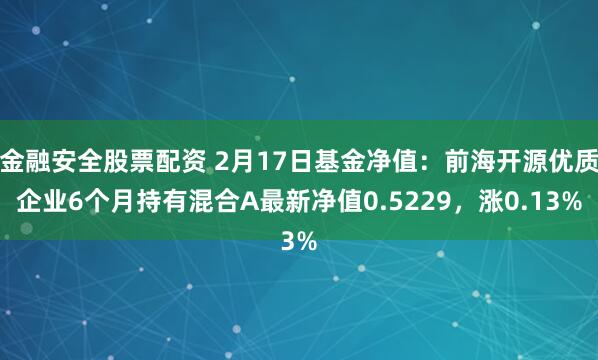 金融安全股票配资 2月17日基金净值：前海开源优质企业6个月持有混合A最新净值0.5229，涨0.13%