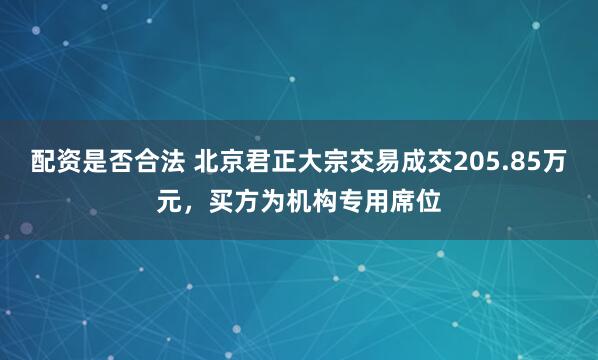 配资是否合法 北京君正大宗交易成交205.85万元，买方为机构专用席位