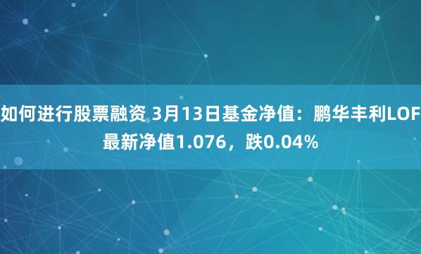 如何进行股票融资 3月13日基金净值：鹏华丰利LOF最新净值1.076，跌0.04%